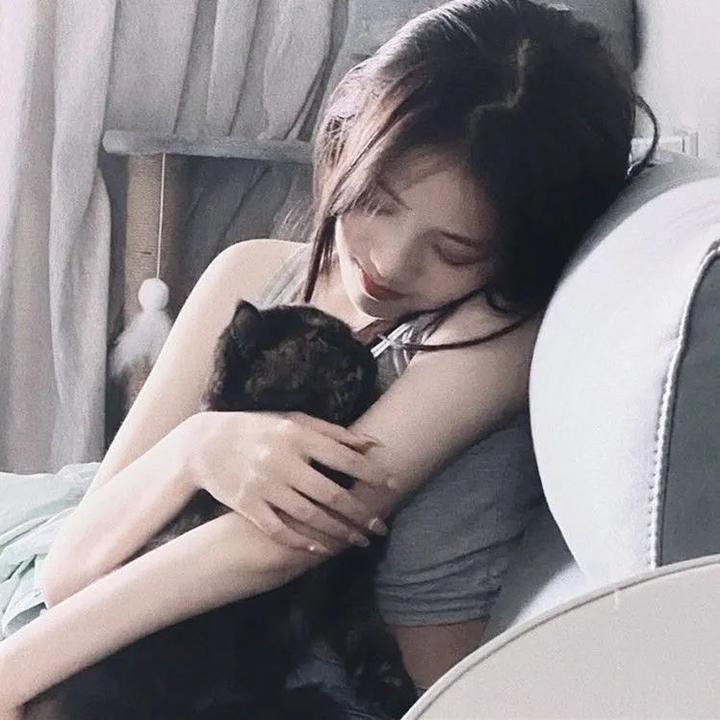 八公犬物语